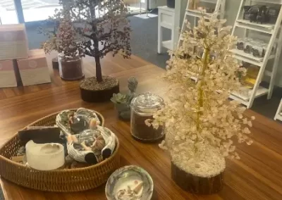 Professional Psychic